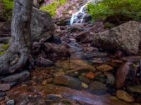 Park Narodowy Cape Breton Highlands